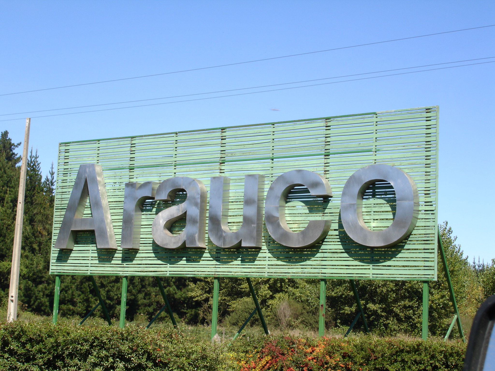 nhà máy bột giấy Chile Arauco