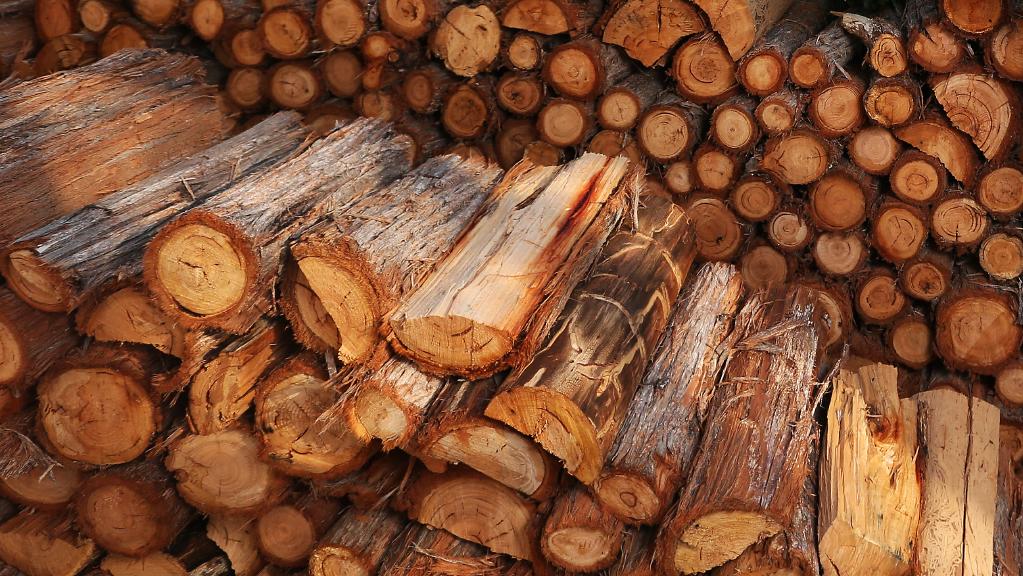 Đánh giá thị trường gỗ và bột giấy toàn cầu QI/2020