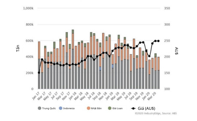 Xuất khẩu dăm gỗ của Úc giảm mạnh